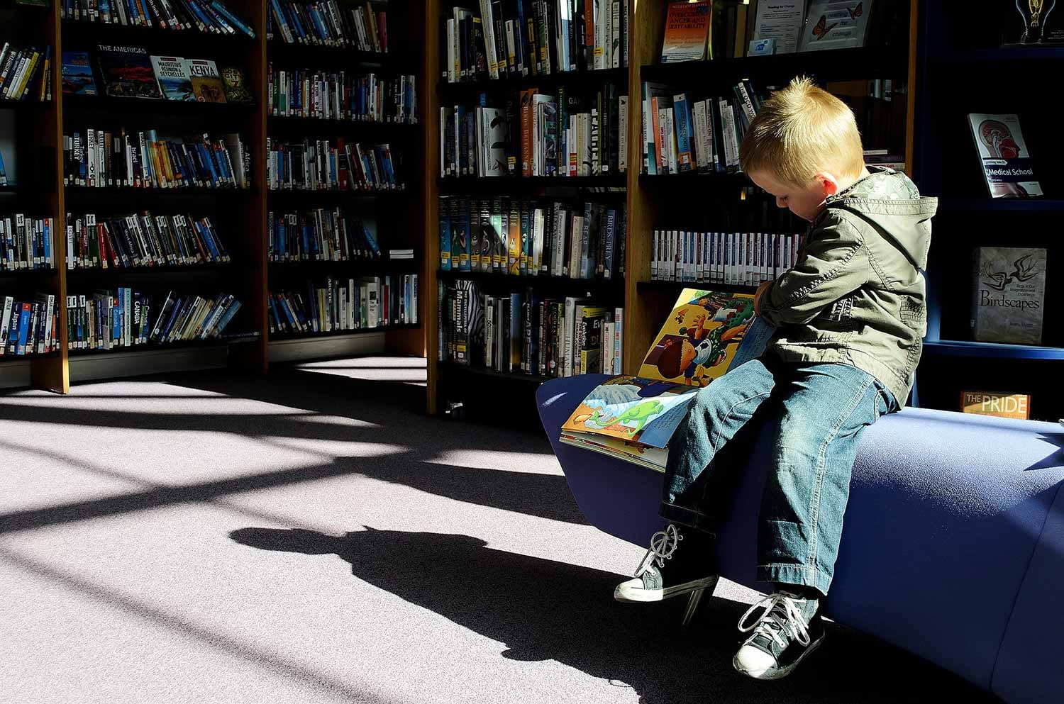 Condividere La Biblioteca Insieme – Macrino