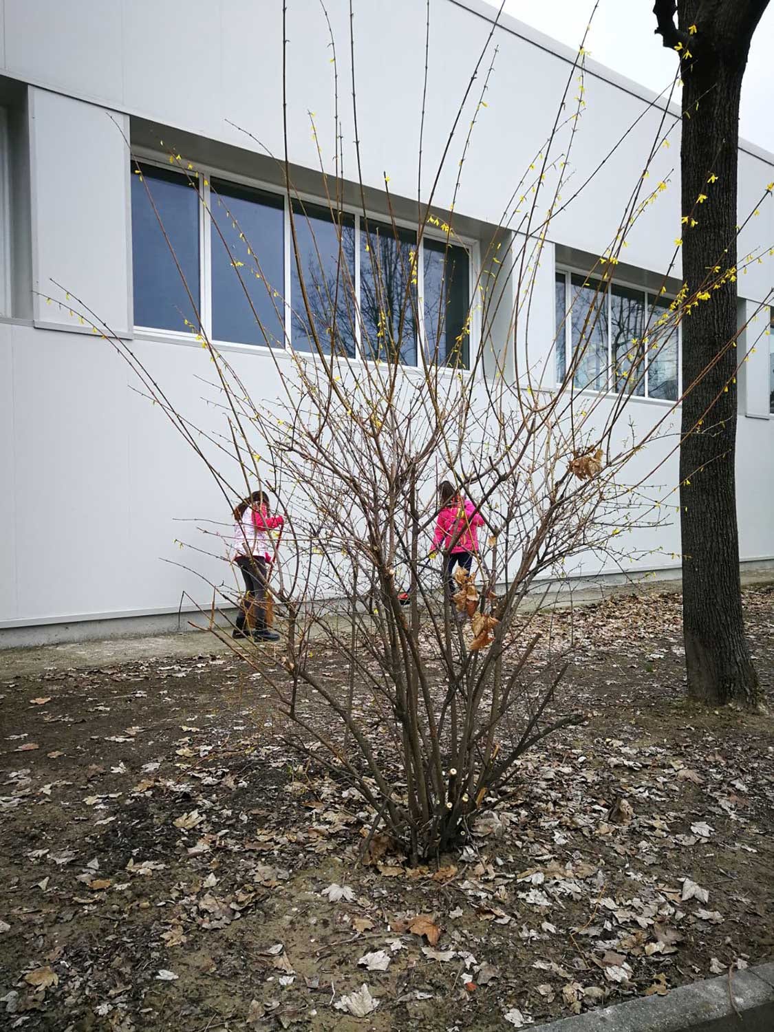 La scuola è vita, facciamola pulita