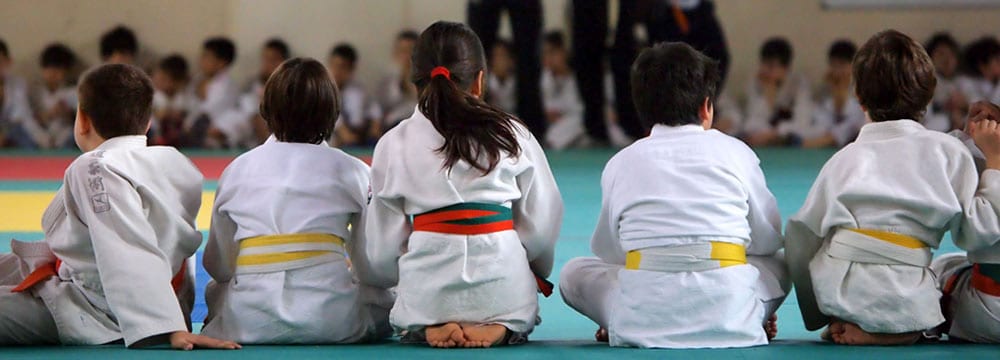 Il judo osserva il bullismo